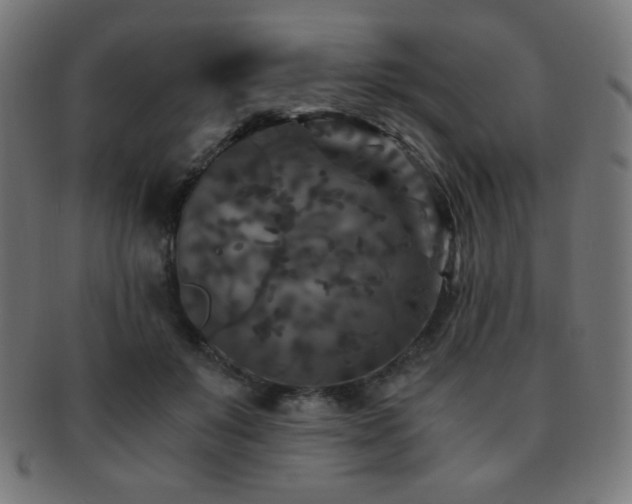 X0000091880503200709051326
