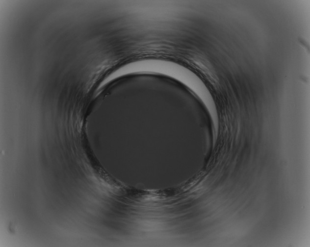 X0000091880504200709051326