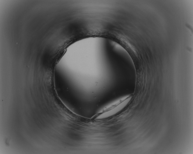 X0000091880505200709051326