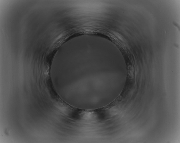 X0000091880507200709051326