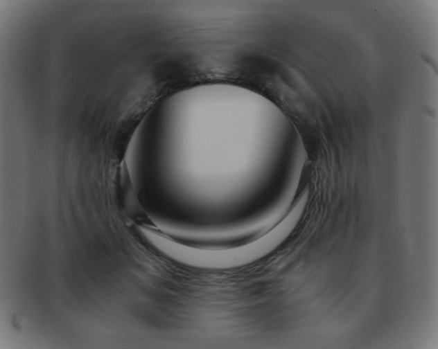 X0000091880509200709051326