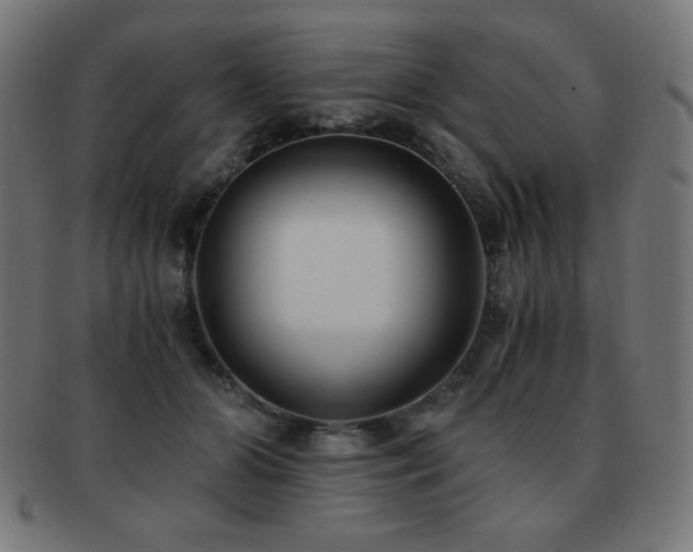 X0000091880510200709051326