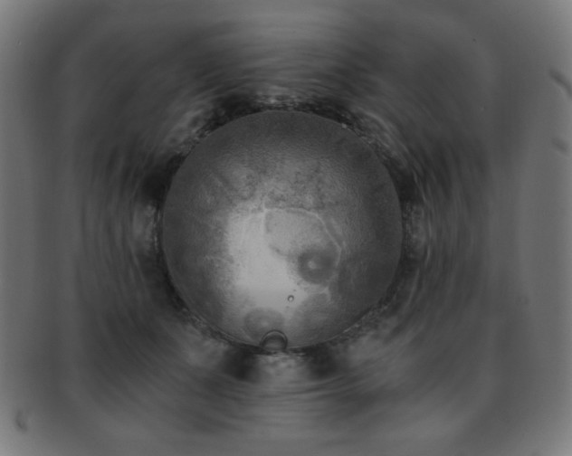 X0000091880511200709051326