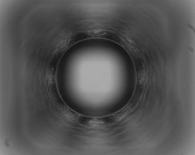 X0000091880515200709051326