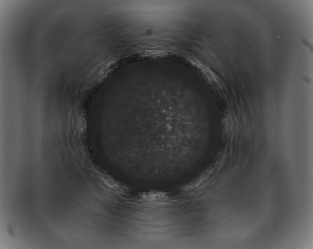 X0000091880517200709051326