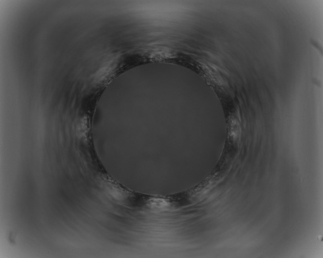 X0000091880519200709051326