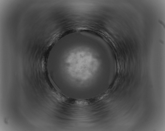X0000091880520200709051326