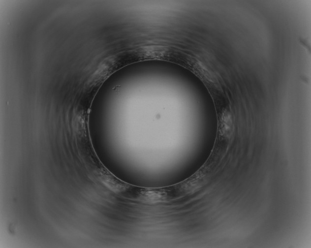 X0000091880522200709051326