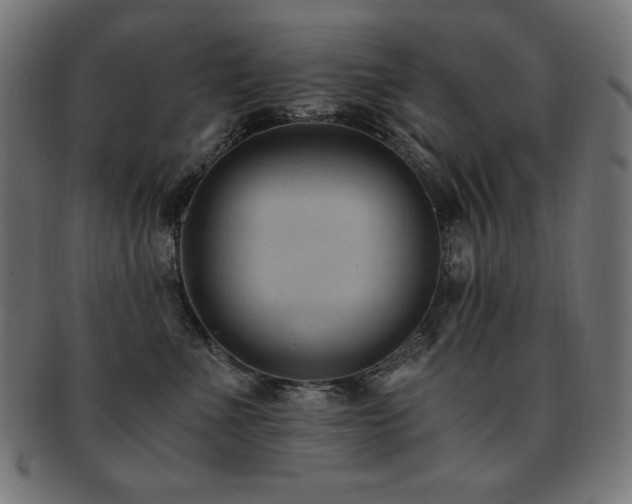 X0000091880523200709051326