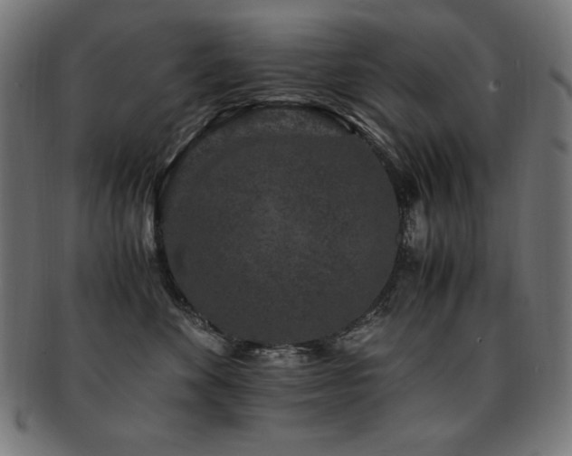 X0000091880524200709051326