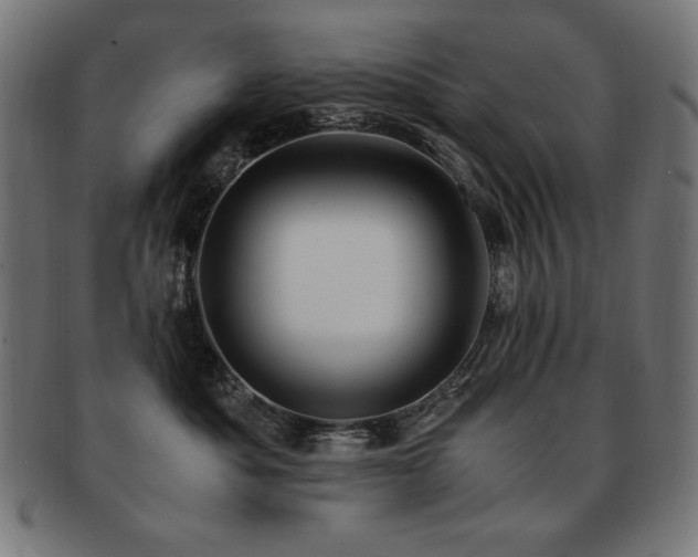 X0000091880525200709051326