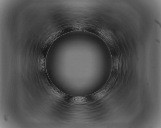 X0000091880526200709051326