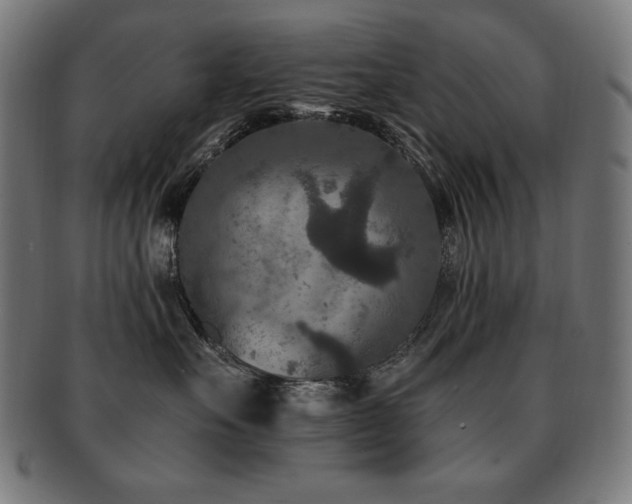 X0000091880527200709051326
