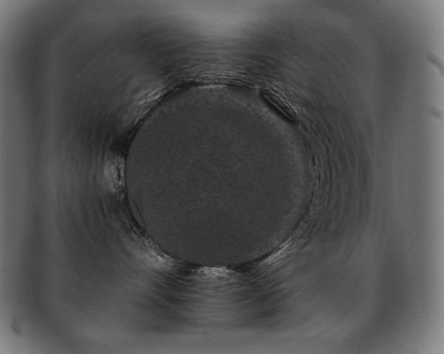 X0000091880528200709051326