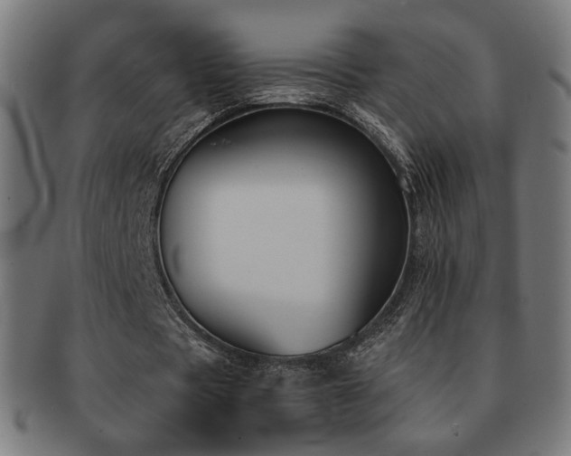 X0000091880529200709051325