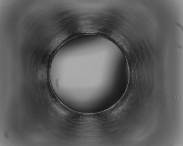 X0000091880533200709051325