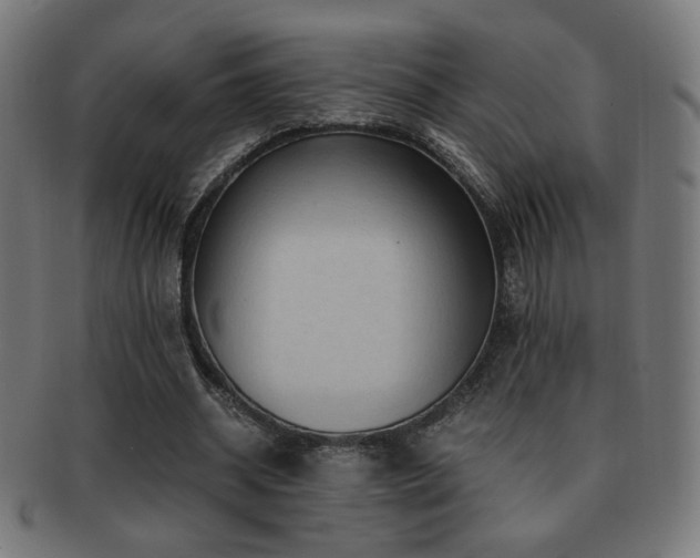 X0000091880534200709051325