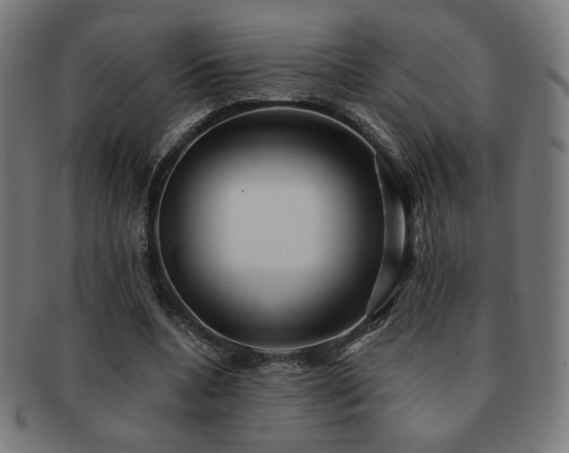 X0000091880536200709051325
