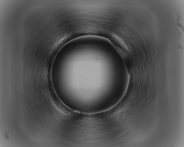 X0000091880538200709051325