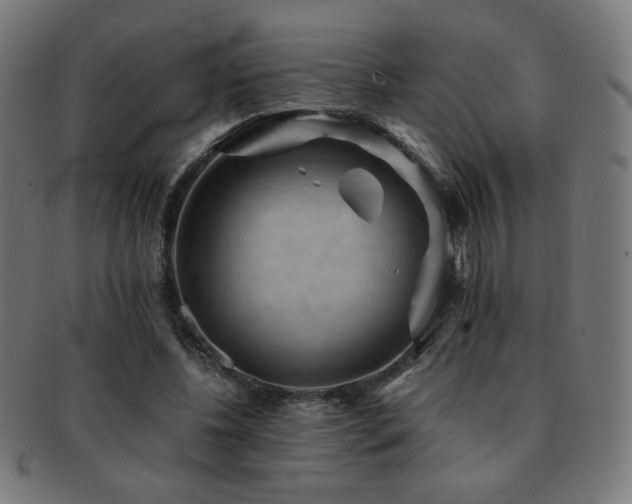 X0000091880540200709051325