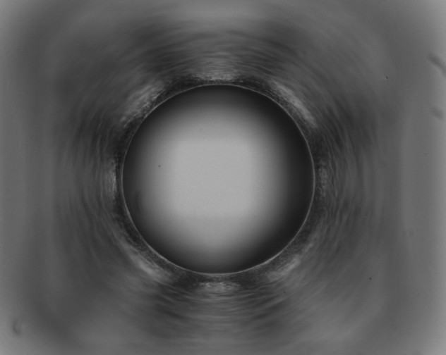 X0000091880541200709051325