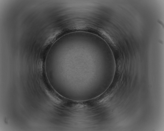 X0000091880542200709051325
