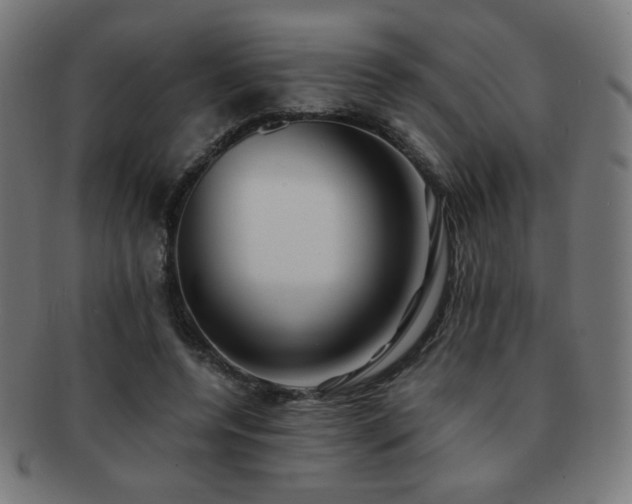 X0000091880544200709051325