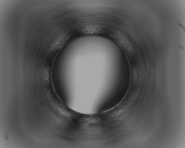 X0000091880545200709051325