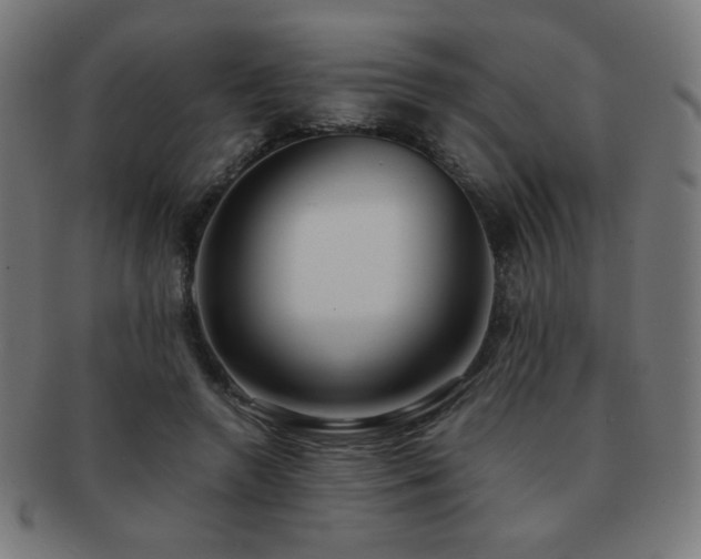 X0000091880546200709051325