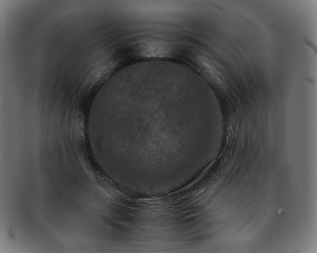 X0000091880547200709051326