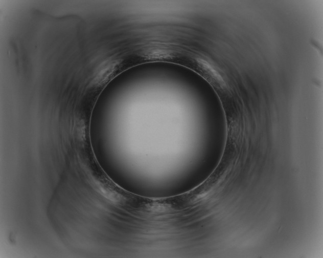 X0000091880549200709051326