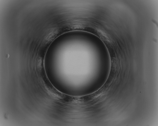 X0000091880550200709051326
