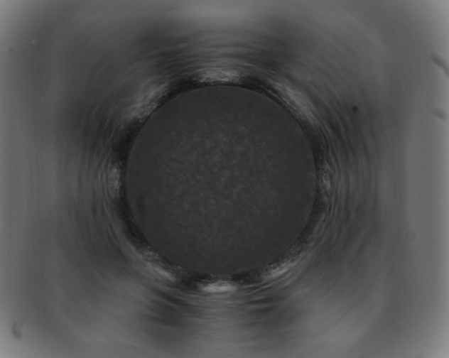 X0000091880551200709051326