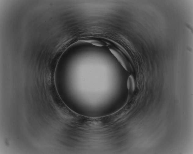 X0000091880552200709051326