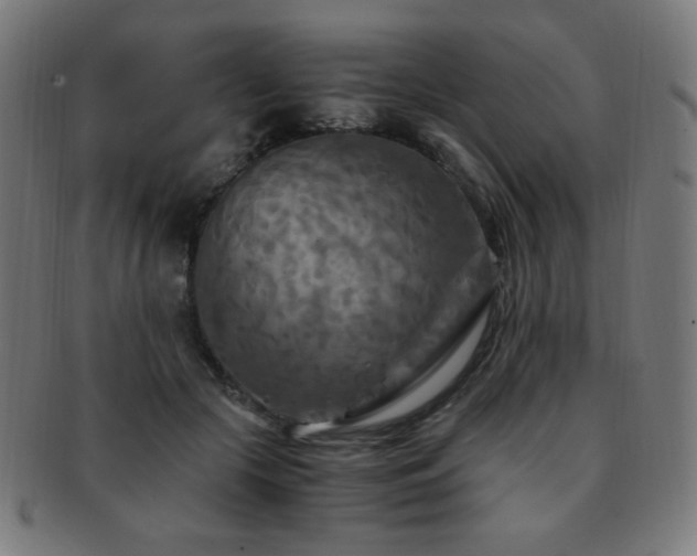 X0000091880553200709051326