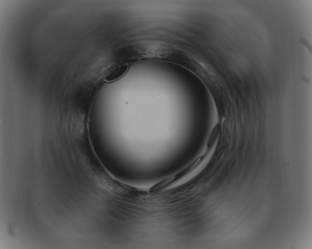 X0000091880554200709051326