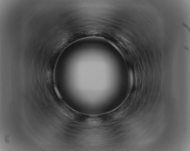 X0000091880556200709051326