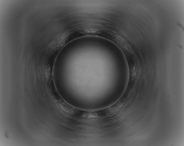 X0000091880559200709051326