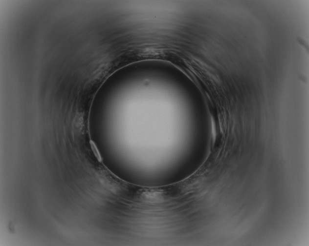 X0000091880560200709051326