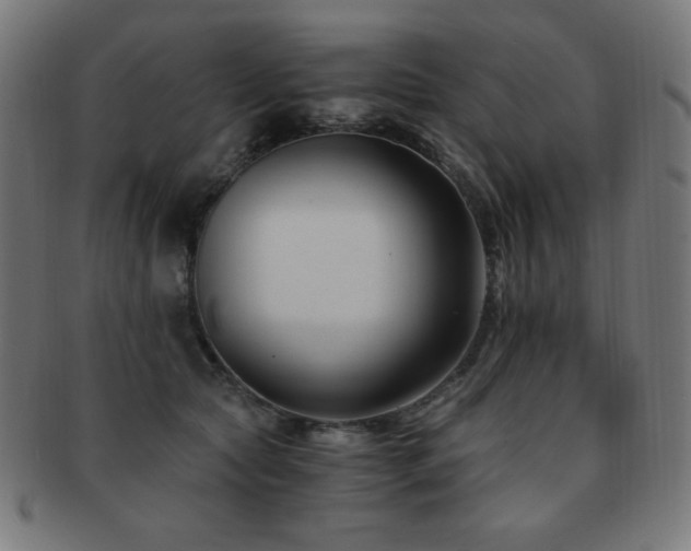 X0000091880561200709051326