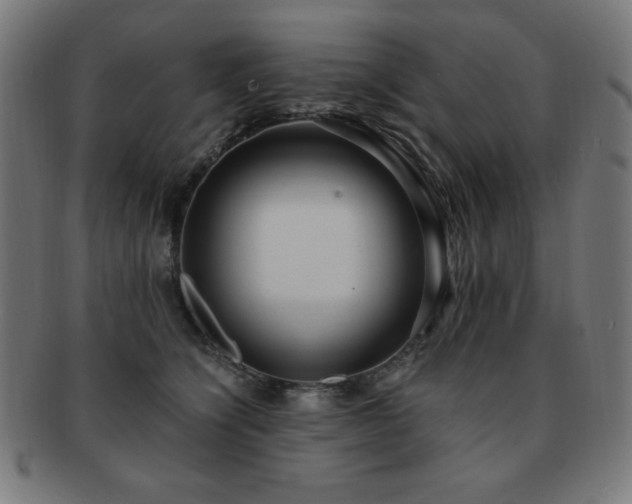 X0000091880564200709051326