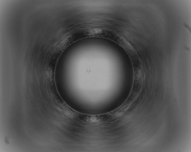 X0000091880565200709051326