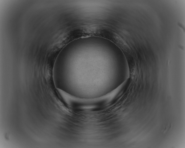 X0000091880566200709051326