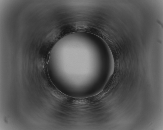 X0000091880567200709051326