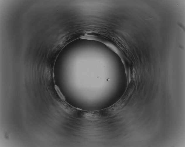 X0000091880568200709051326