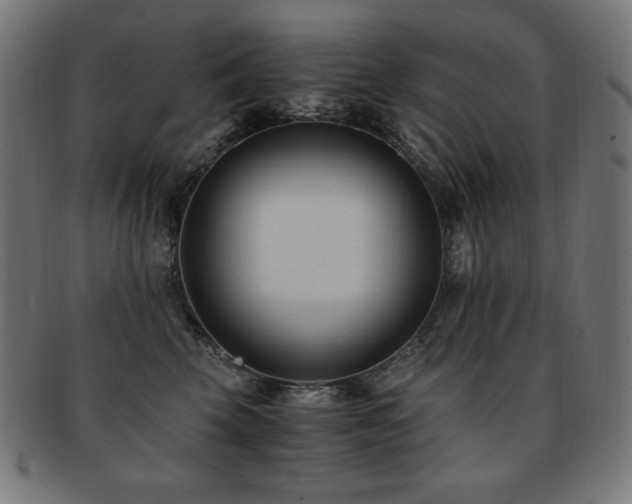 X0000091880569200709051326