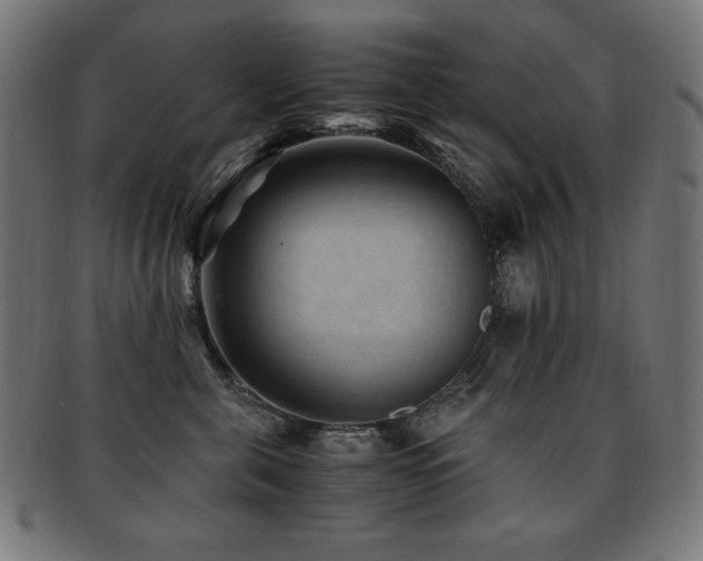 X0000091880571200709051326