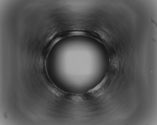 X0000091880572200709051326