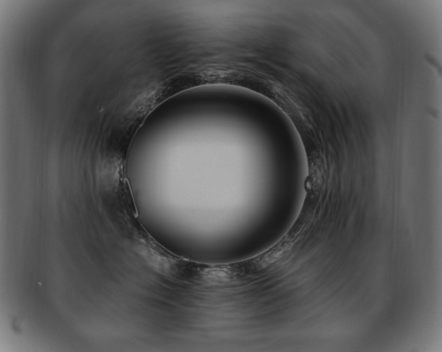 X0000091880574200709051326
