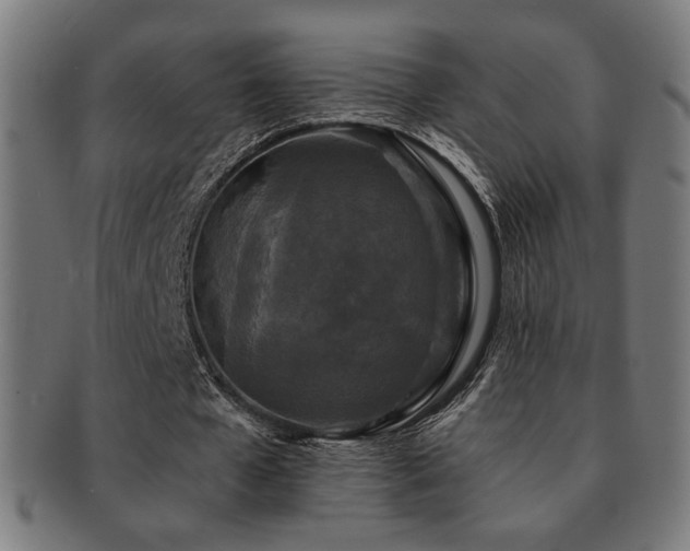 X0000091880577200709051325